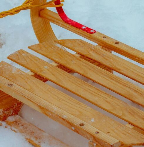 Best Snow Sleds of 2024